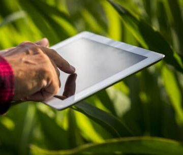 کشاورزی هوشمند