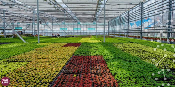 نقش اینترنت اشیا در هوشمندسازی گلخانه