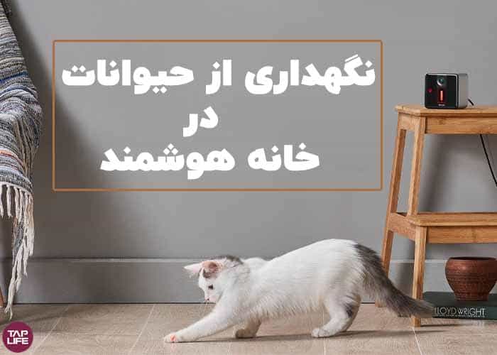 هوشمند سازی خانه چه مزایایی برای حیوانات خانگی دارد هوشمند سازی خانه چه مزایایی برای حیوانات خانگی دارد