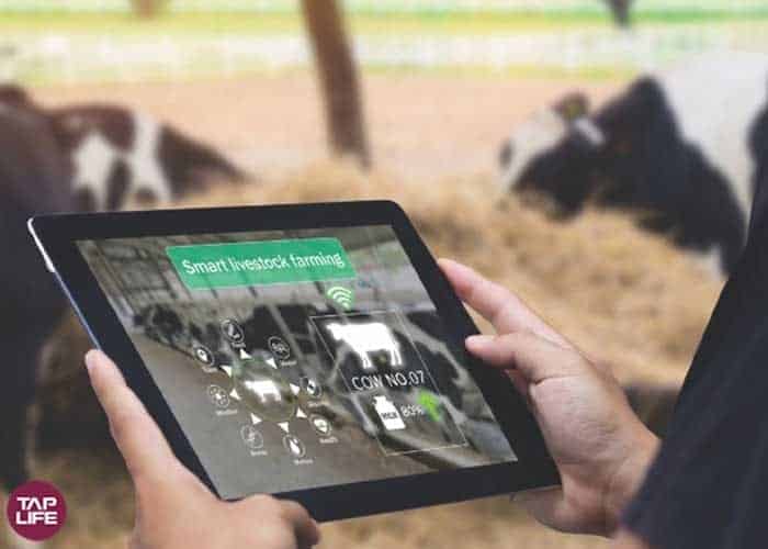 نرم افزار مدیریت کشاورزی