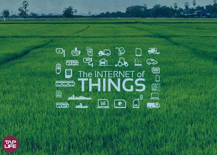 پیاده سازی اینترنت اشیا در کشاورزی