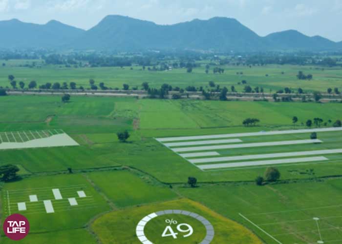 کاربرد اینترنت اشیا در آبیاری هوشمند