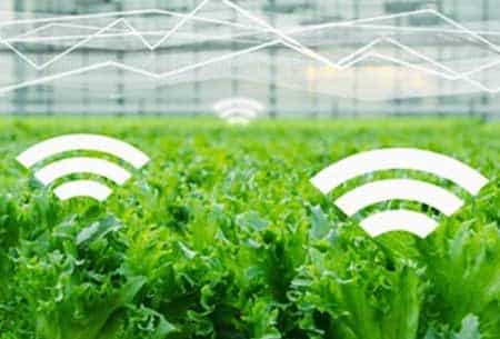 کاربرد اینترنت اشیا در کشاورزی