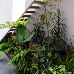 سیستم آبیاری هوشمند